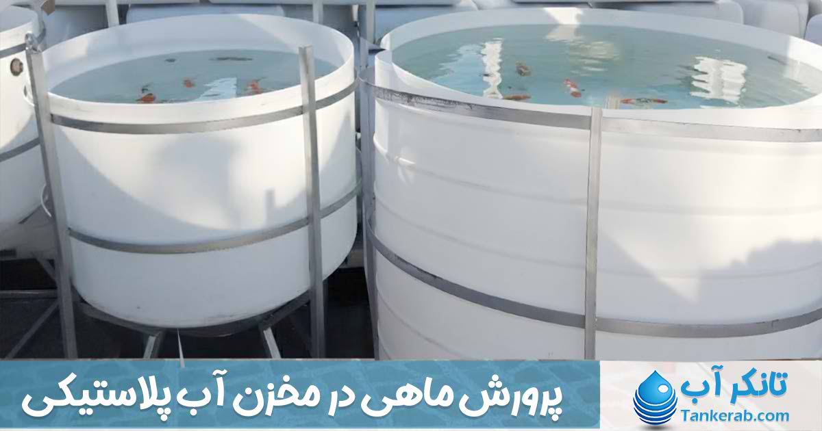 پرورش ماهی در مخزن آب پلاستیکی